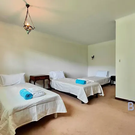 Villa Magnificent With Swimming Pool And Garden In